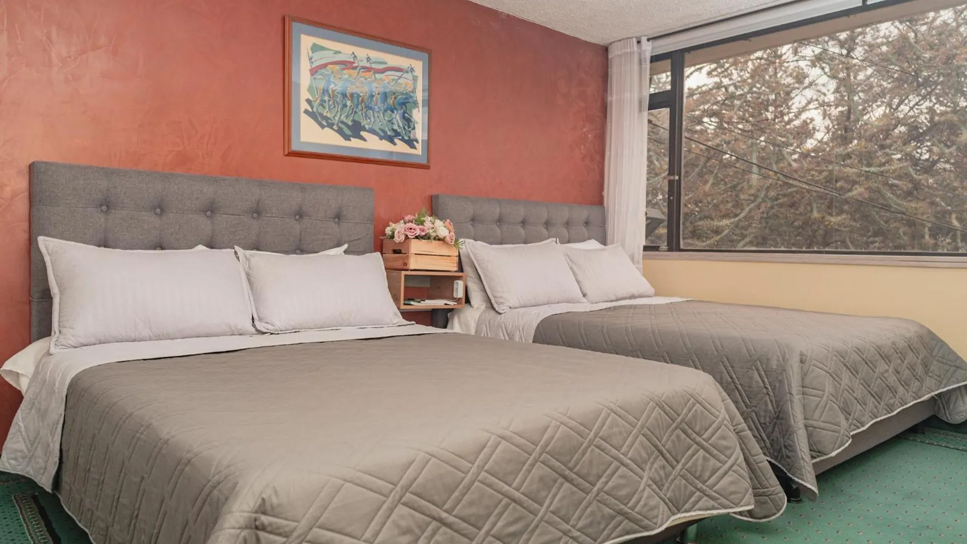 Innovar Casa Hostal Bogota Colombia